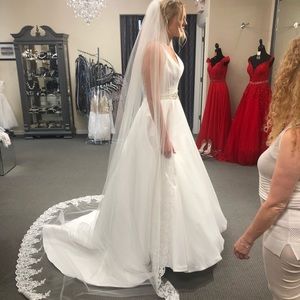 Wedding Dress and Vail